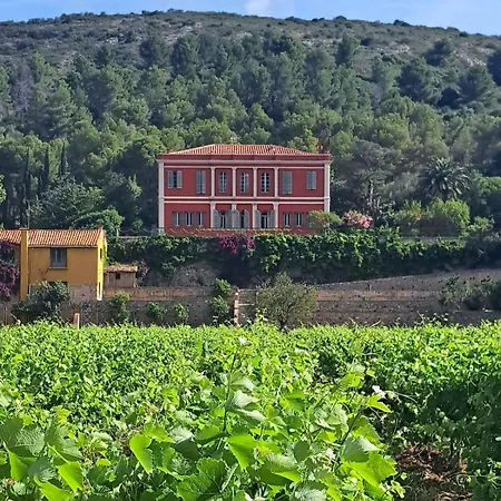 Chateau Xviii Siecle Au Coeur D'un Vignoble Tatil Evi Cases-de-Pene